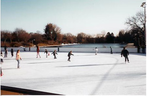 pista de hielo